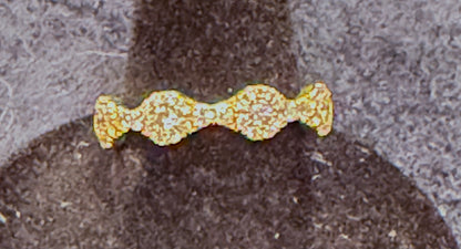 ITEM# 5 -14K Gold Pave Diamond Organic Cluster Eternity Band