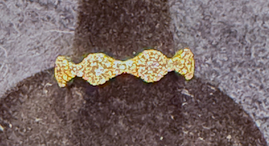 ITEM# 5 -14K Gold Pave Diamond Organic Cluster Eternity Band